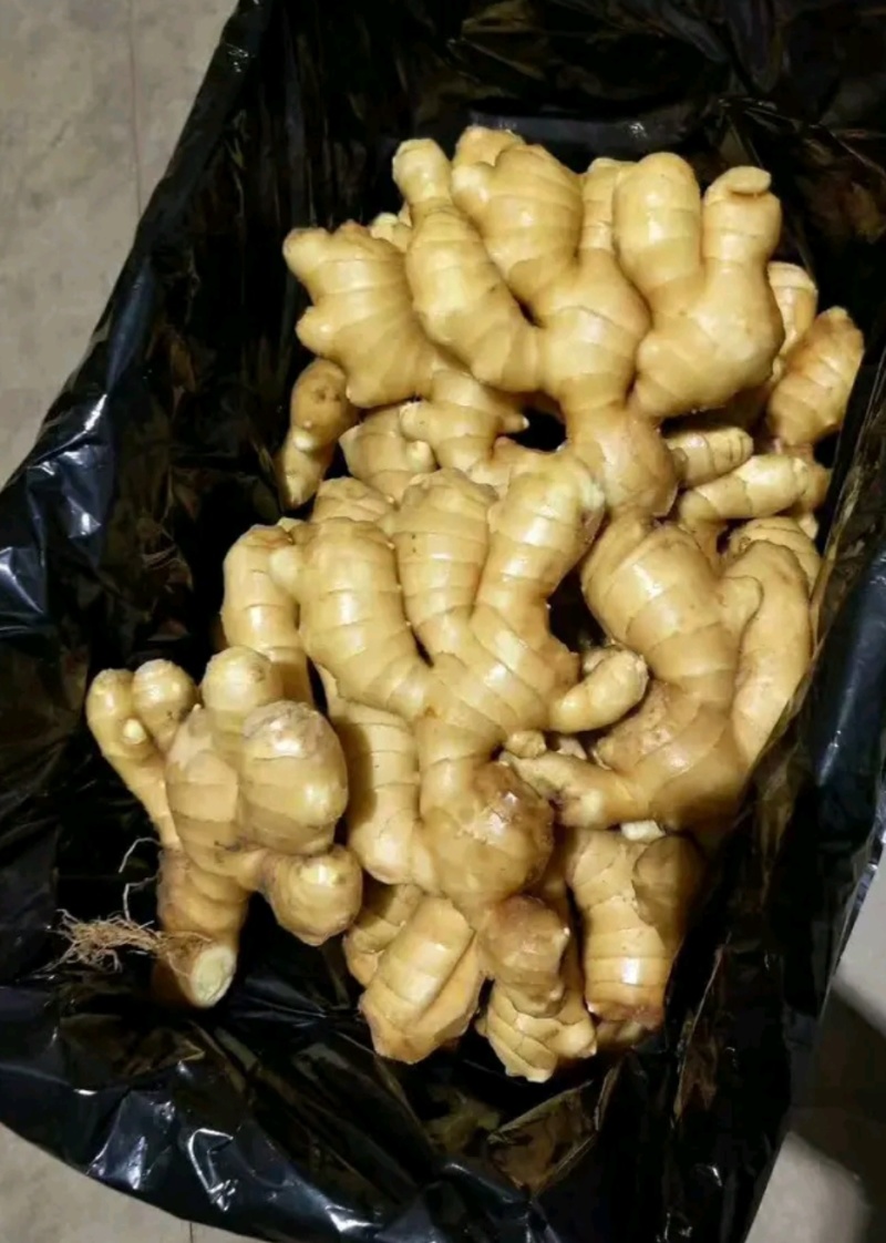 《生姜出口加工》精品生姜大黄姜水洗姜沙土姜风干姜市场货批