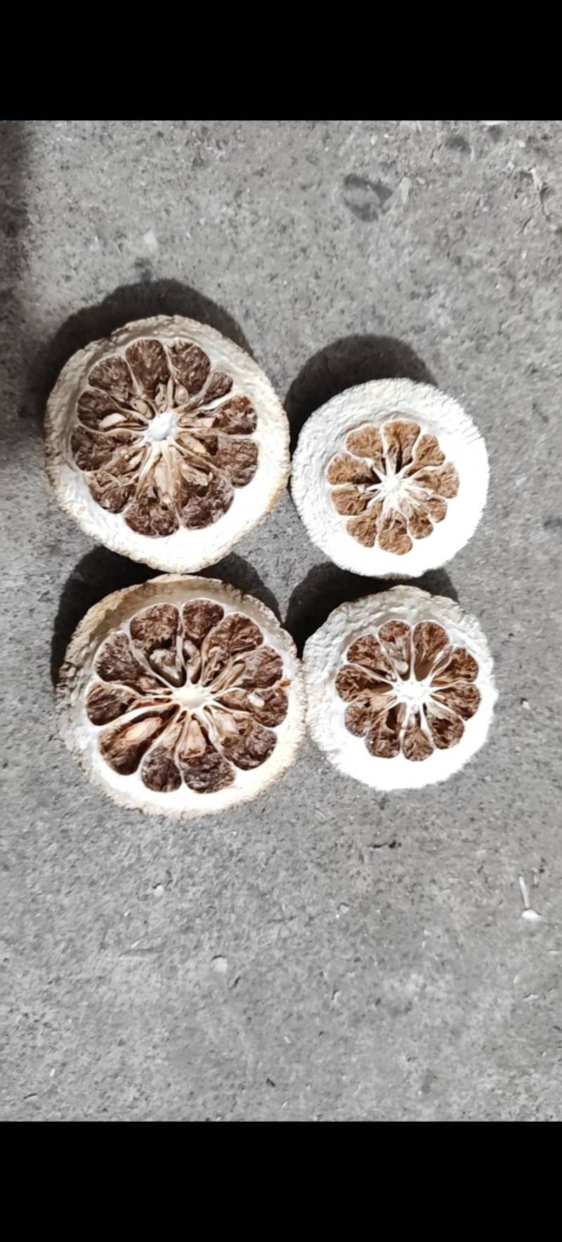 枳壳