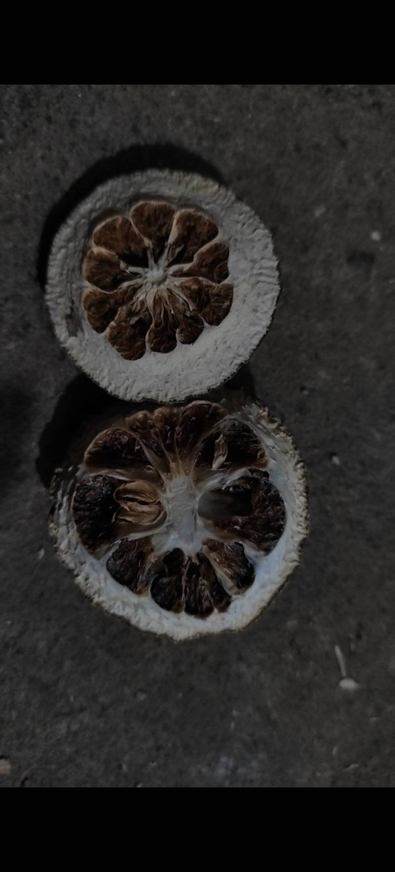 枳壳