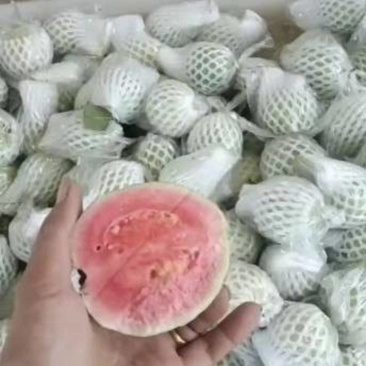 西瓜红芭乐