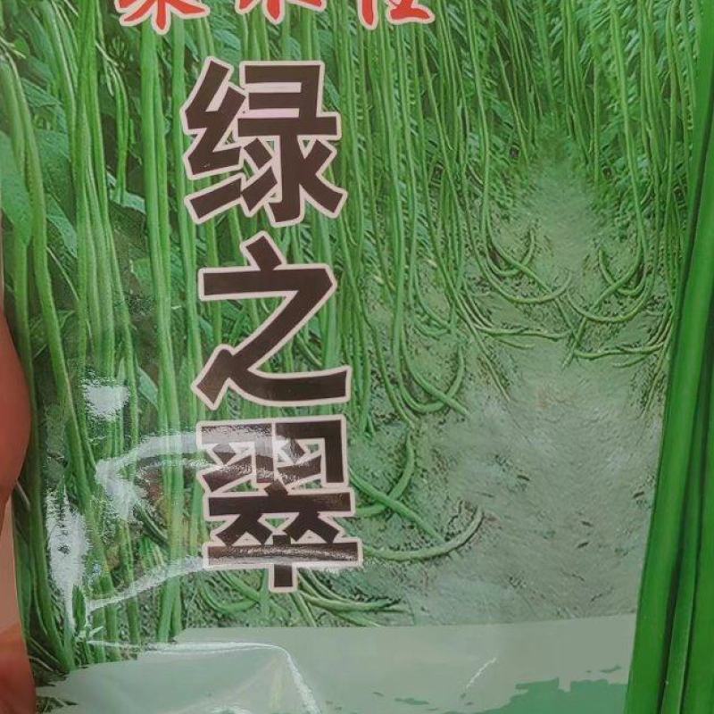 豆角种子架不住绿之翠早熟荚长90cm以上粗0.8厘米