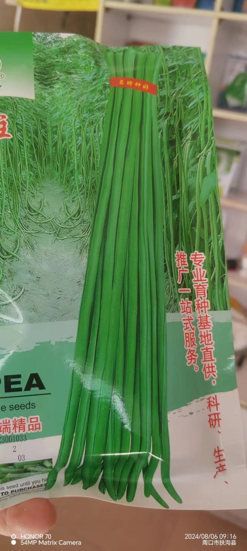 豆角种子架不住绿之翠早熟荚长90cm以上粗0.8厘米