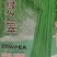 豆角种子架不住绿之翠早熟荚长90cm以上粗0.8厘米