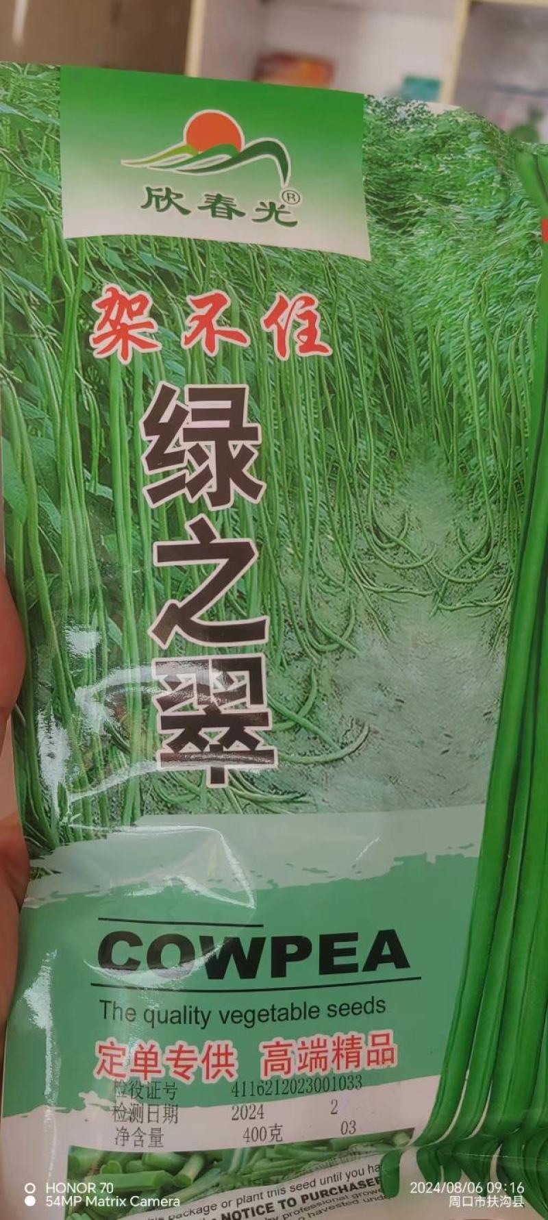 豆角种子架不住绿之翠早熟荚长90cm以上粗0.8厘米