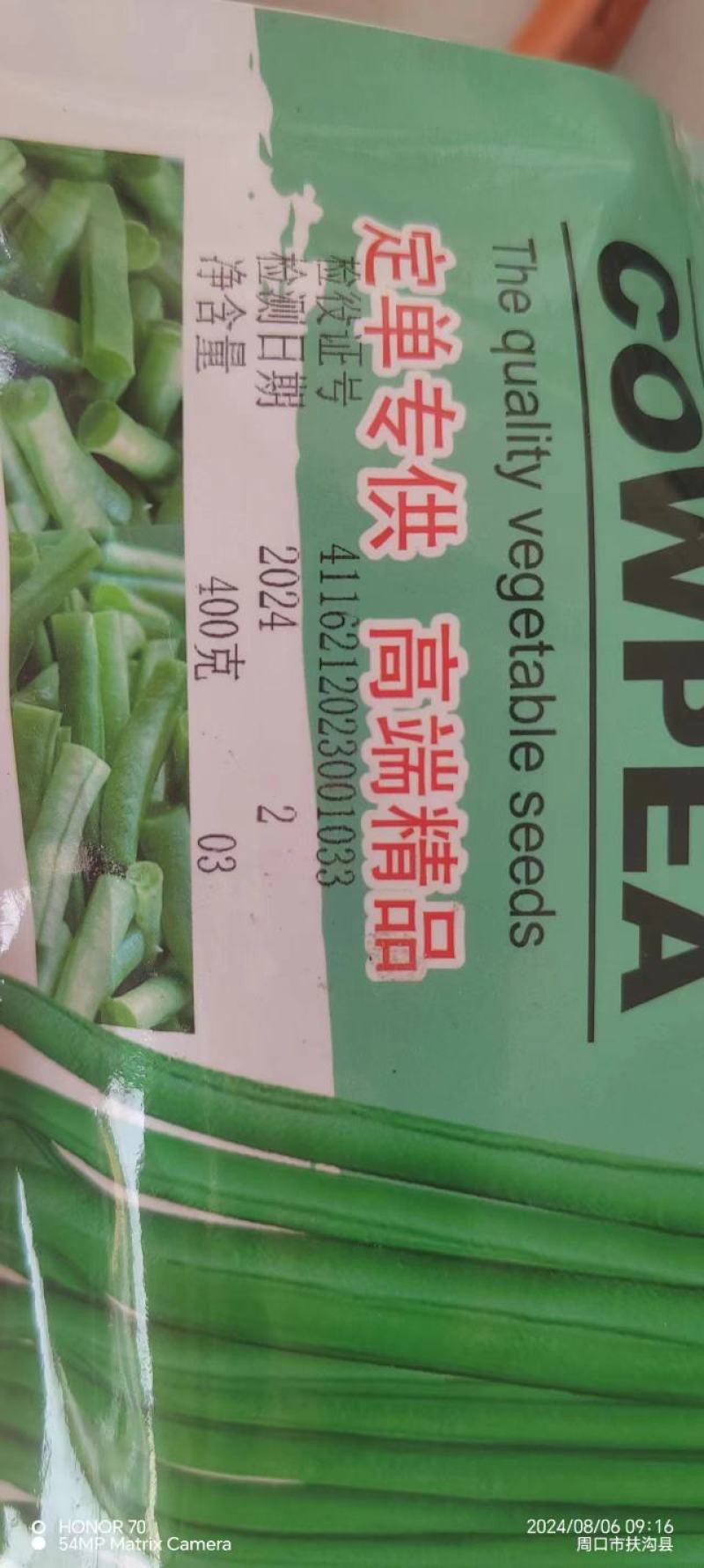 豆角种子架不住绿之翠早熟荚长90cm以上粗0.8厘米