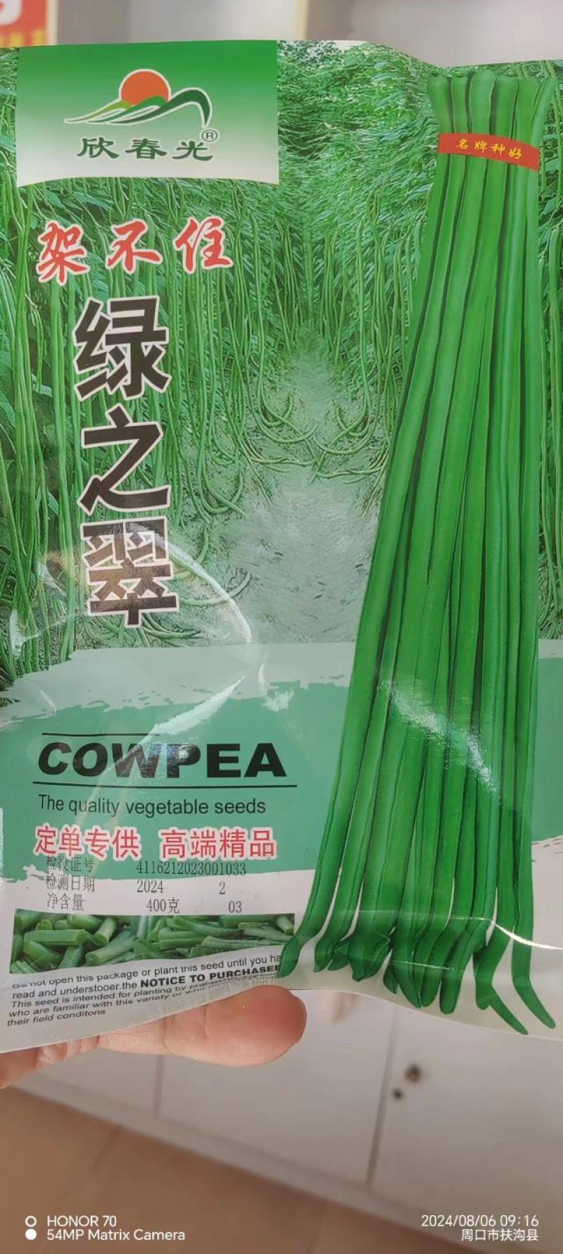 豆角种子架不住绿之翠早熟荚长90cm以上粗0.8厘米