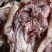 全熟牛头肉