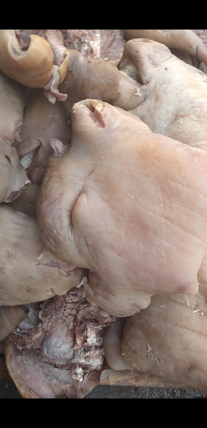 全熟牛头肉