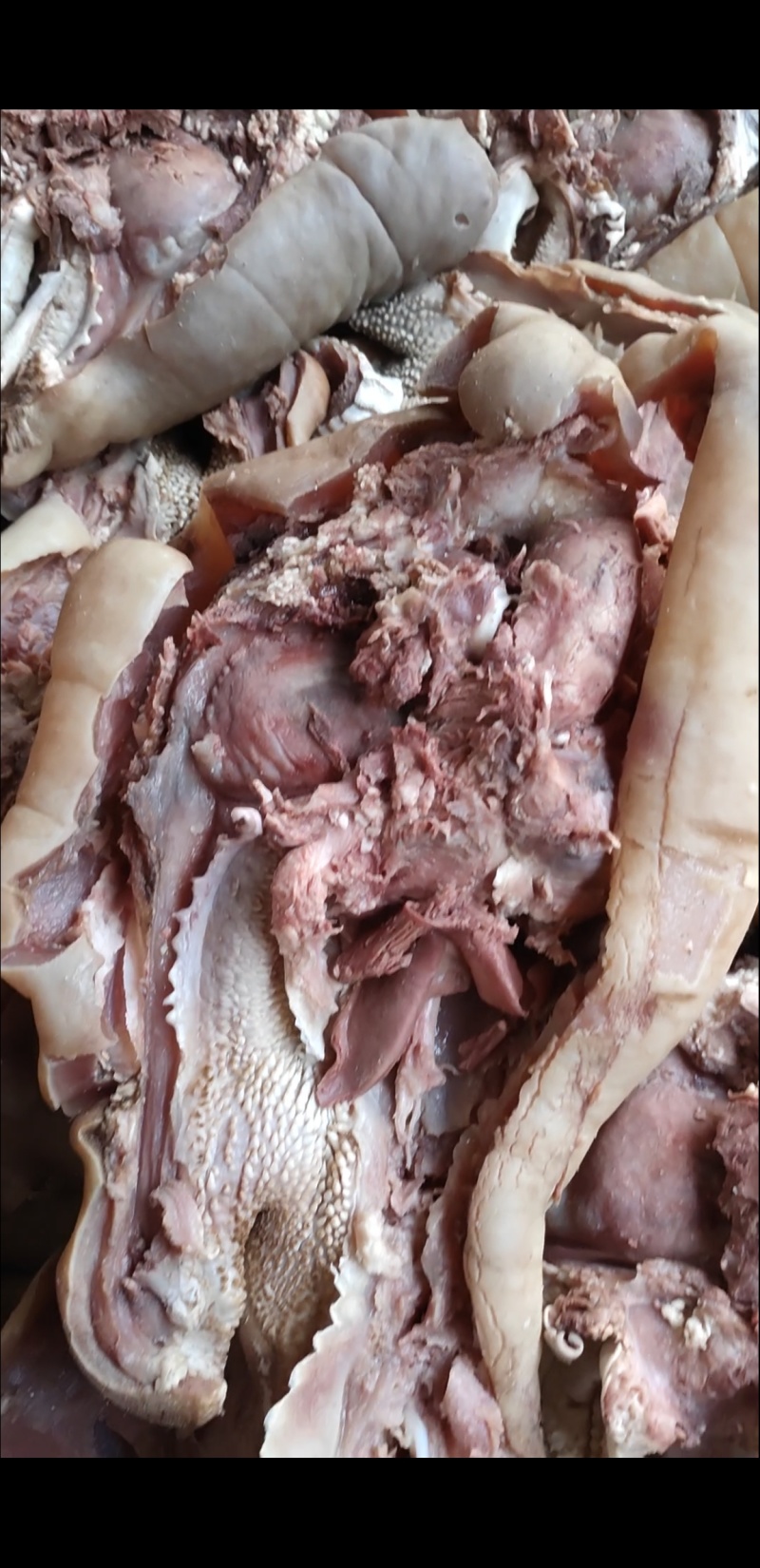 全熟牛头肉