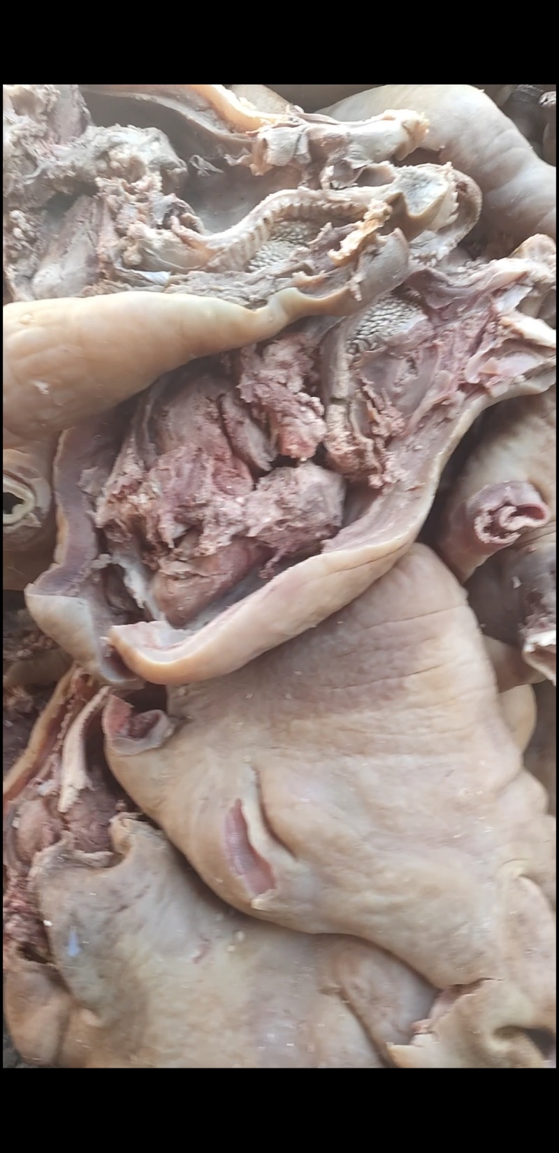 全熟牛头肉