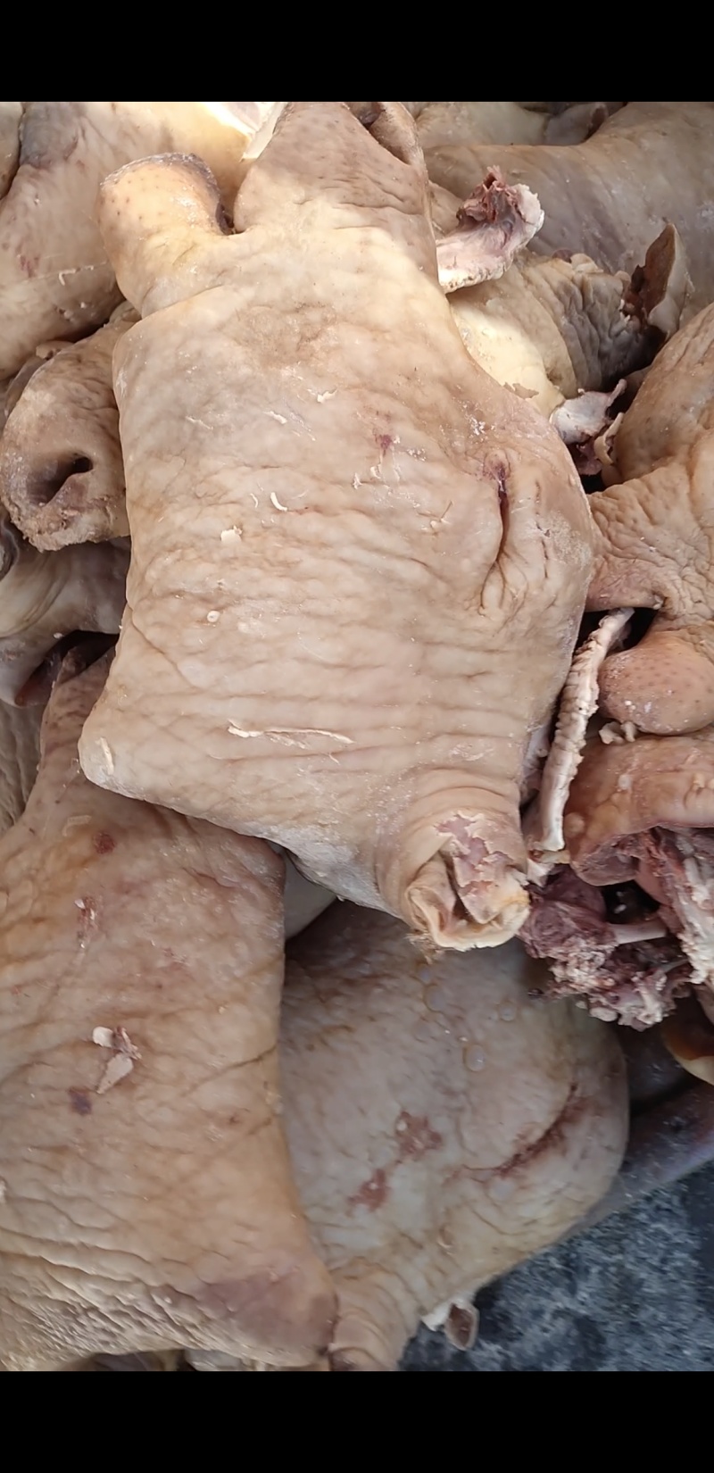 全熟牛头肉
