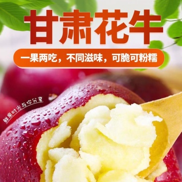甘肃天水花牛苹果批发零售