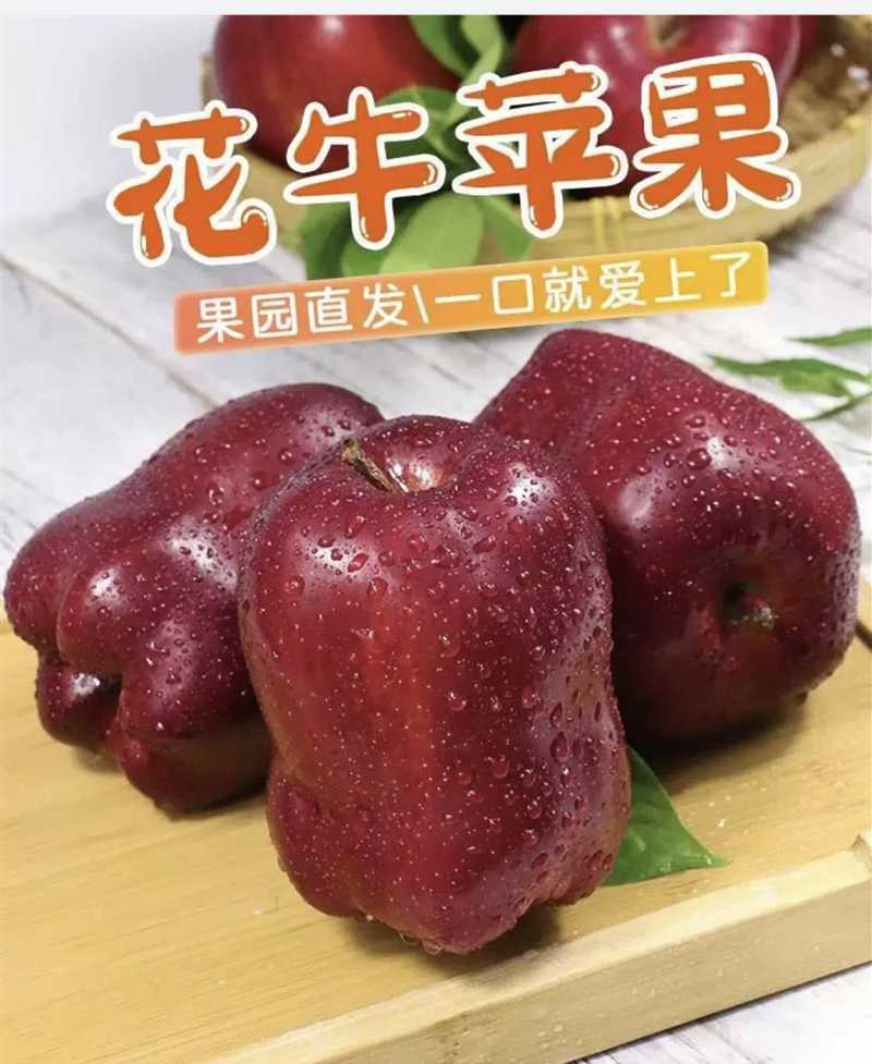 甘肃天水花牛苹果批发零售