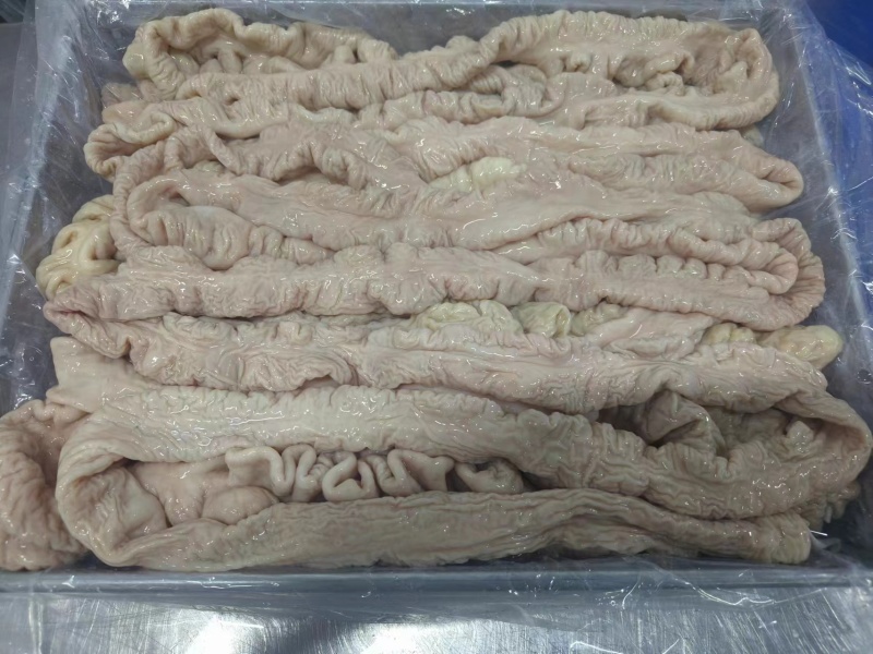 鲜大肠头，鲜大肠，预煮大肠品质保证无杂质