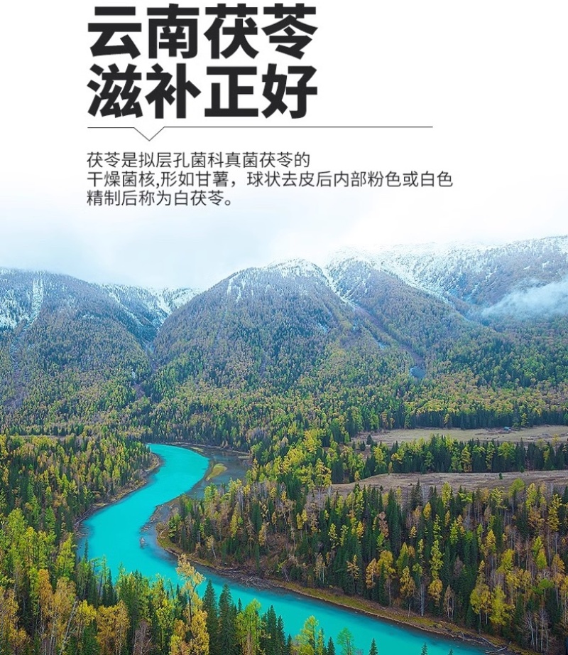 云南野生白茯苓中药材实体公司直售，只卖无硫产品，常年直供