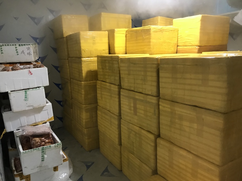 8个月老鹧鸪，种场留种老鹧鸪，新鲜宰杀全国各地客商都供应