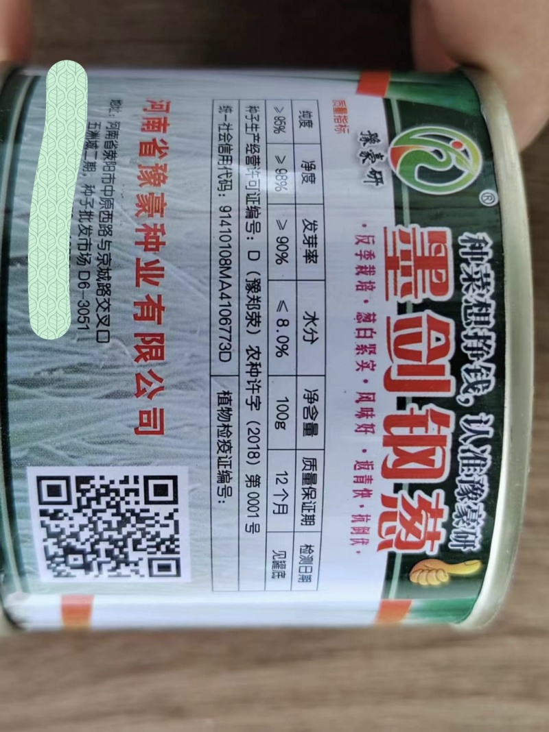 墨剑钢葱营销150现价80耐寒性好抽抬晚冬季不休眠返青快