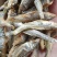 水煮破肚子白条，十成干，质量好，需要的老板联系我1397