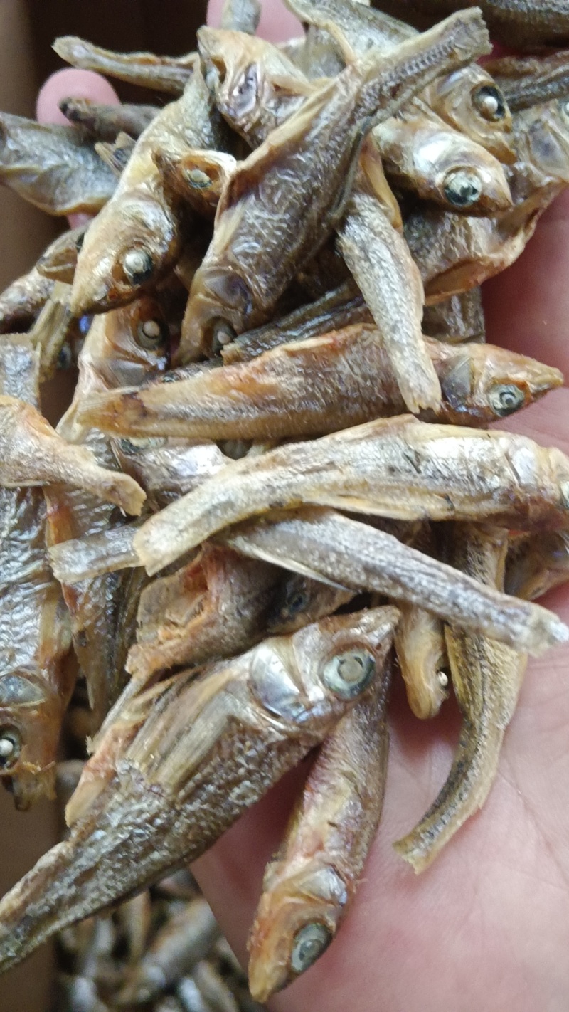 水煮破肚子白条，十成干，质量好，需要的老板联系我1397