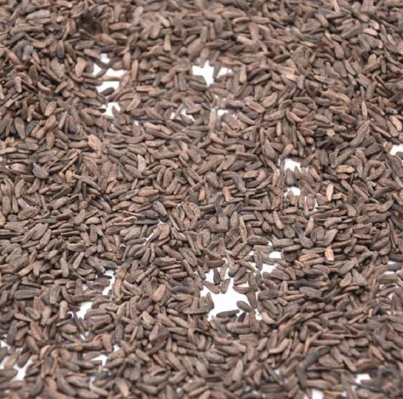 牛蒡子牛子中药材批发牛蒡子质量保证量大从优