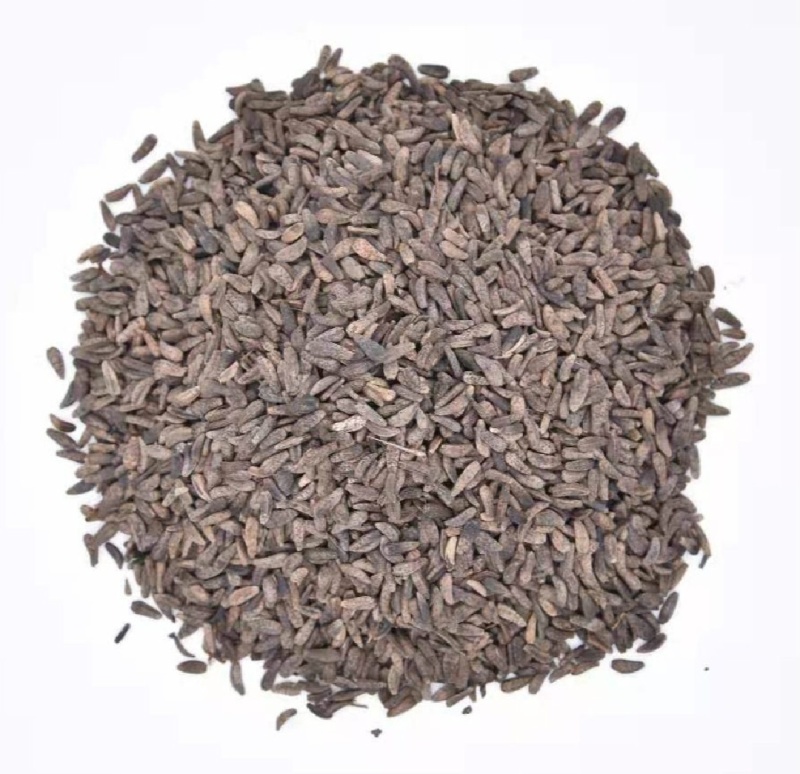 牛蒡子牛子中药材批发牛蒡子质量保证量大从优