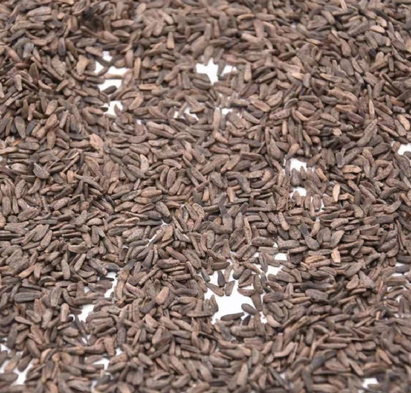 牛蒡子牛子中药材批发牛蒡子质量保证量大从优