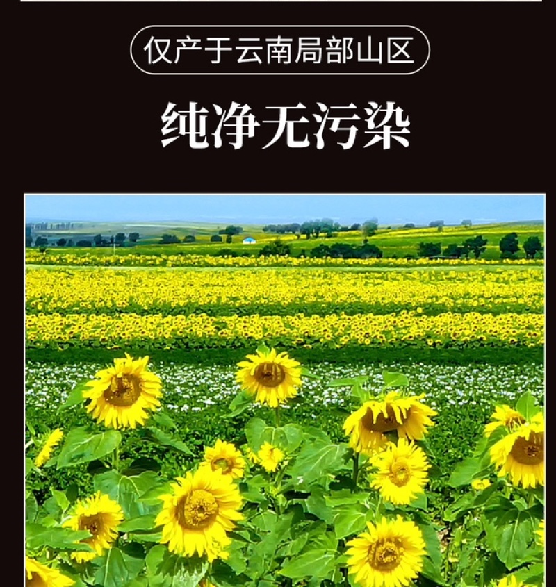 云南红瓜子，量大从优，物美价廉，可视频看货，欢迎咨询