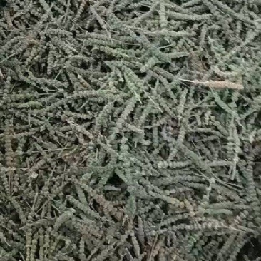 荆芥穗全荆芥穗中药材批发荆芥穗质量保证量大从优