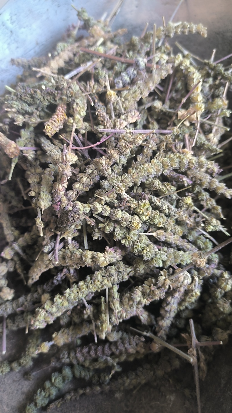 荆芥穗全荆芥穗中药材批发荆芥穗质量保证量大从优