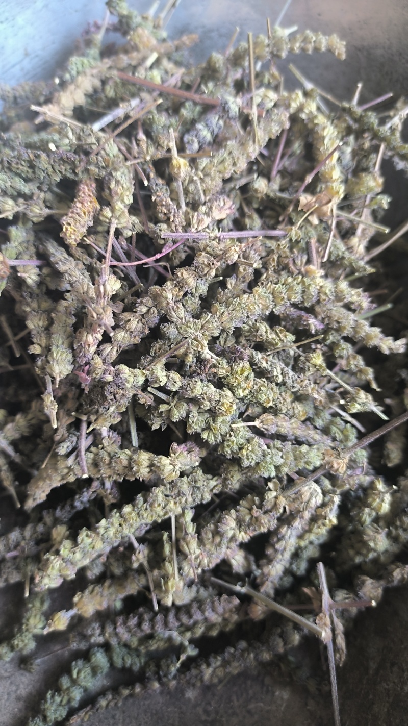 荆芥穗全荆芥穗中药材批发荆芥穗质量保证量大从优