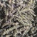 荆芥穗全荆芥穗中药材批发荆芥穗质量保证量大从优