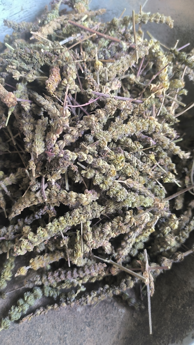 荆芥穗全荆芥穗中药材批发荆芥穗质量保证量大从优