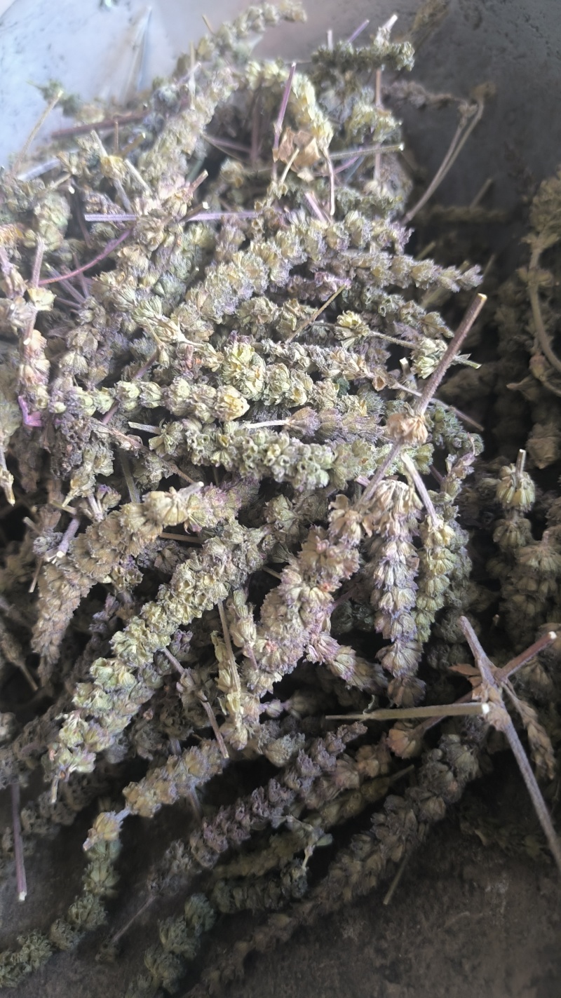 荆芥穗全荆芥穗中药材批发荆芥穗质量保证量大从优