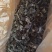 烘干海带结，颜色翠绿，厚结，欢迎新老客户来电