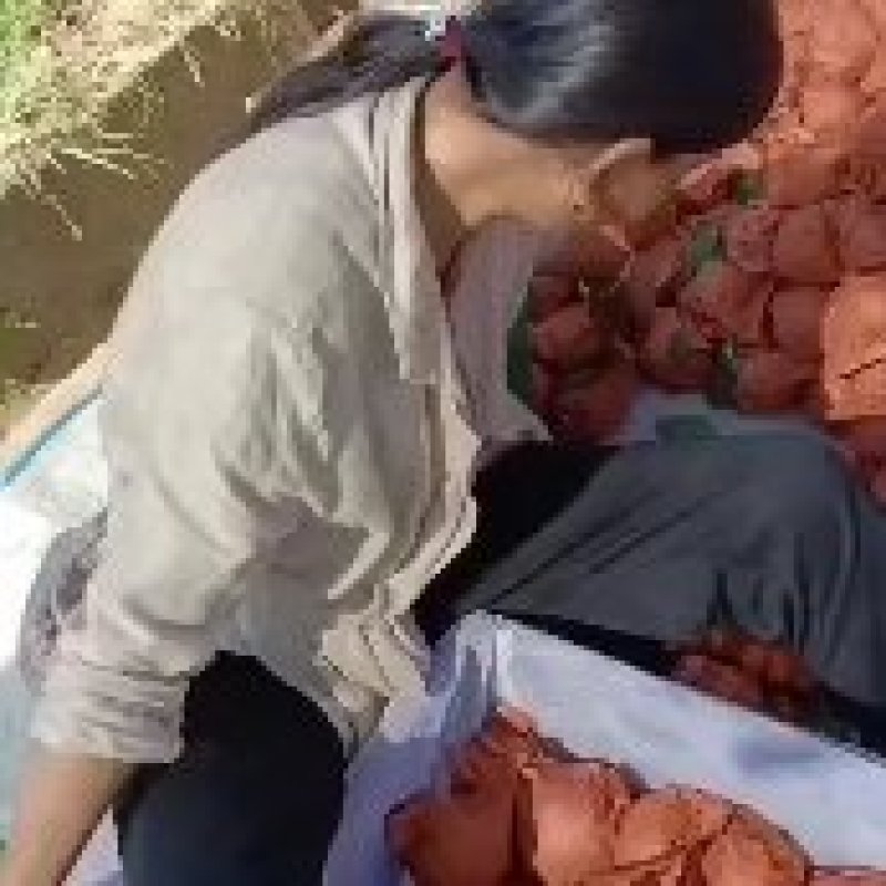 《精选》陕西皇冠梨基地直发对接商超电商团购一条龙服务