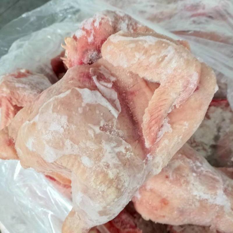 大肉食鸡11公斤4只