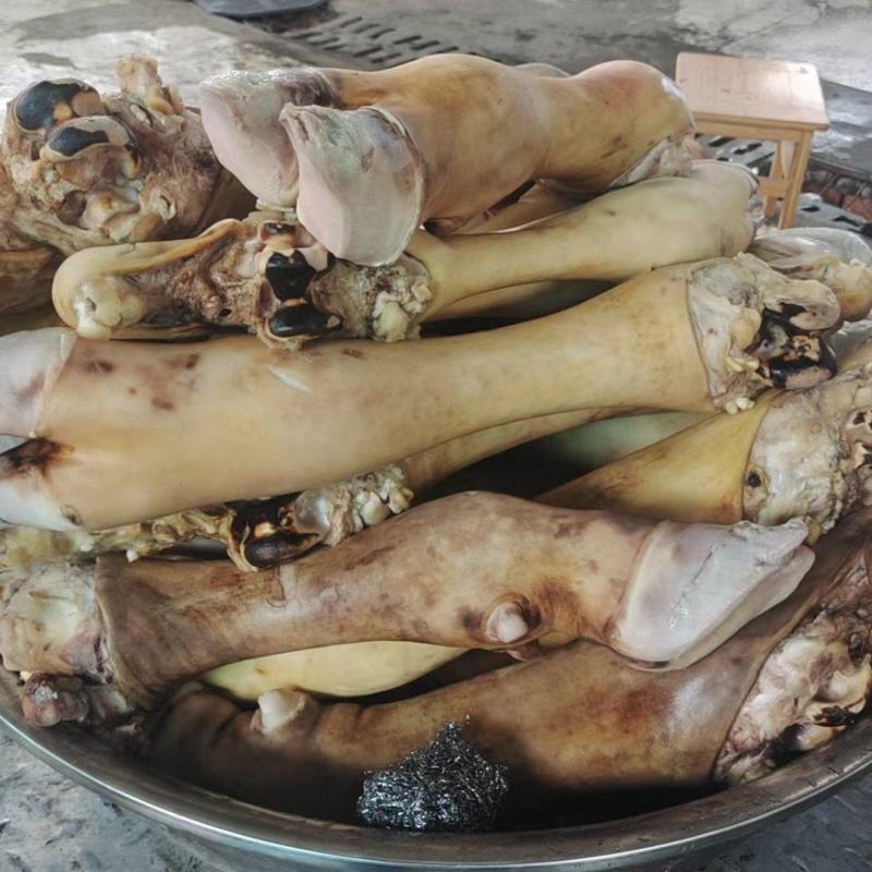 内蒙古乌兰察布市火烧牛蹄货源充足价格优