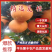 夏橙产地直发基地，对接全国各地的市场电商平台