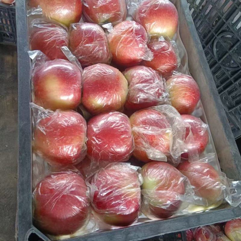 （精品）精品大美八苹果产地一手货源代购代发可视频看货
