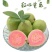 红心芭乐（西瓜红番石榴），支持全网电商一件代发，3斤/5斤