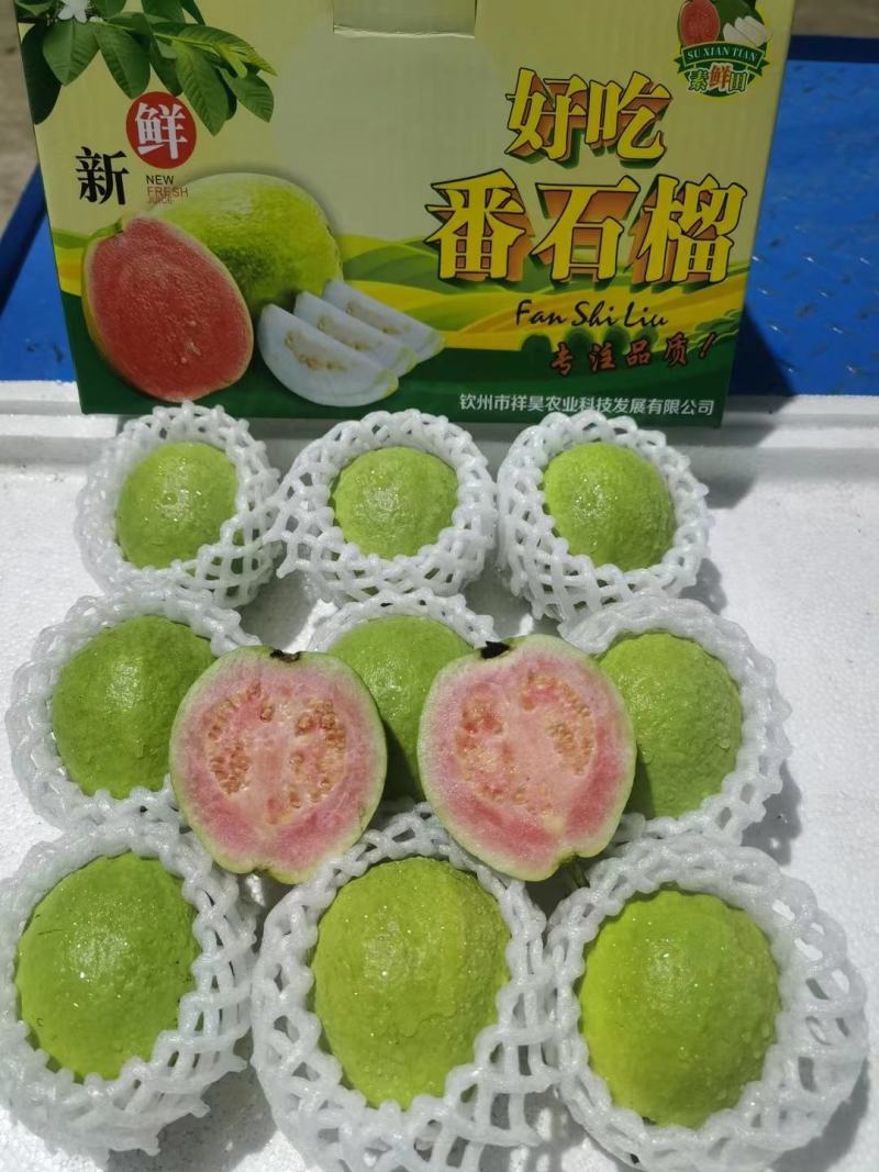 红心芭乐（西瓜红番石榴），支持全网电商一件代发，3斤/5斤