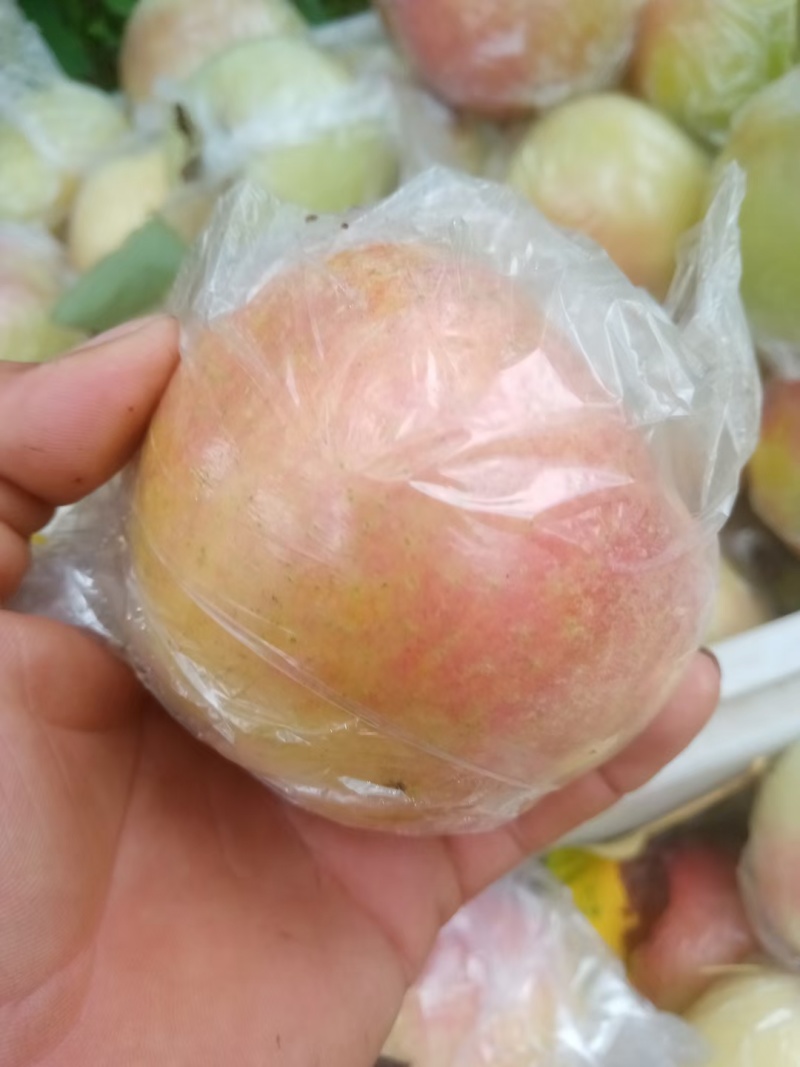 美八苹果红露苹果产地一手货源货源充足保质保量