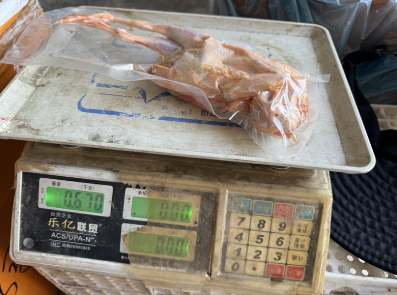 鹧鸪