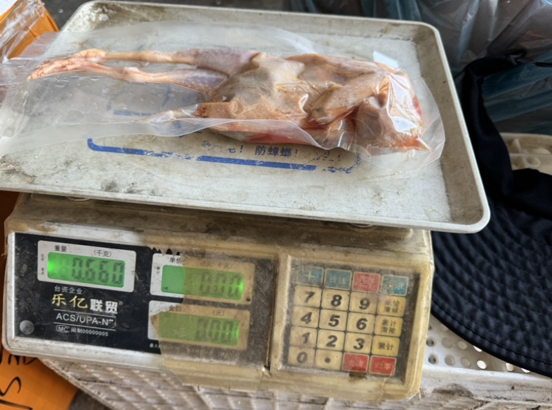 鹧鸪