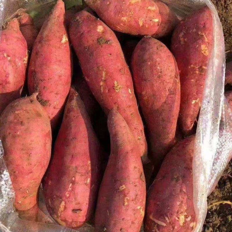 湖北西瓜红襄阳红薯大量上市专业代收代发产地现货新鲜红薯