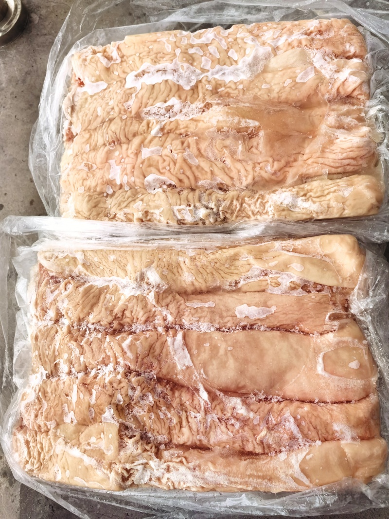 鲜大肠头，鲜大肠，预煮大肠品质保证无杂质