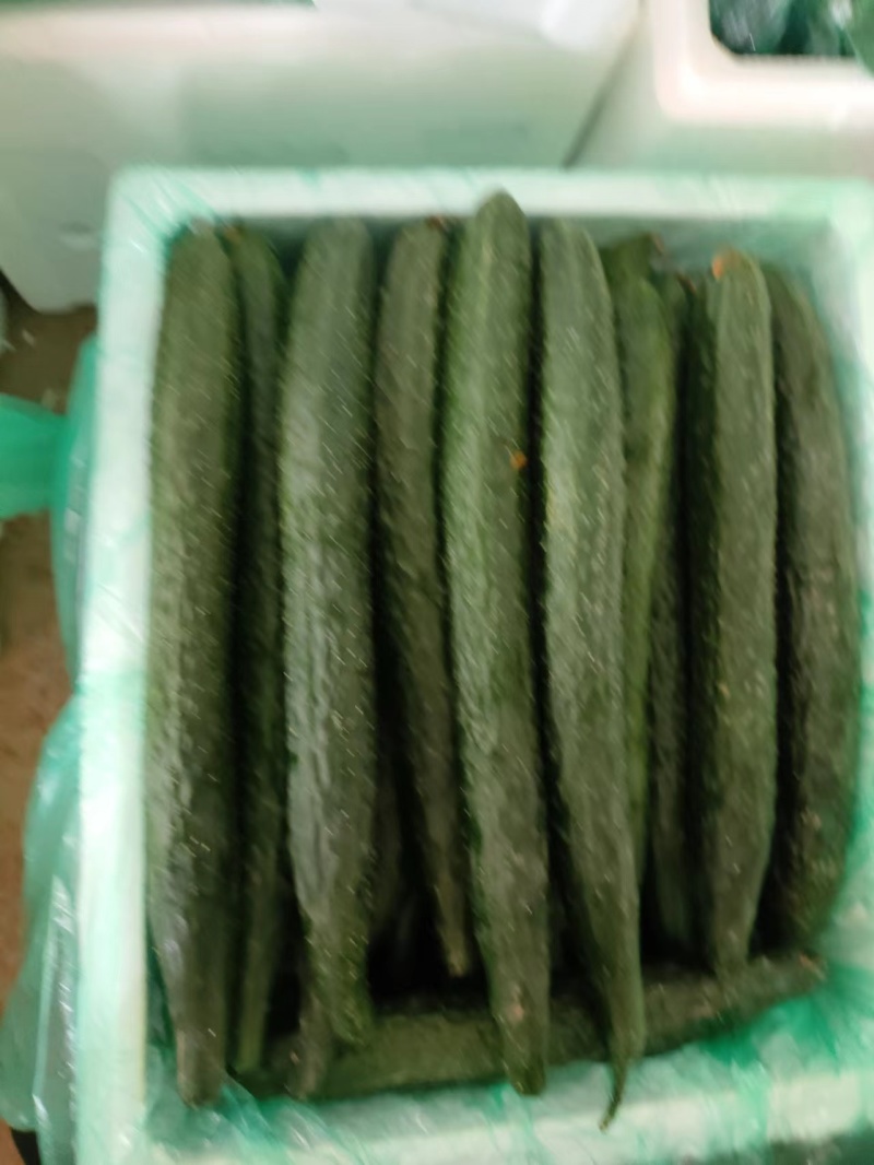 黄瓜