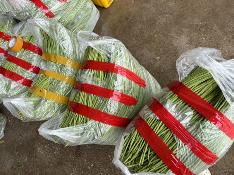 细条豇豆新鲜大量上市原产地直销，没有中间商全球发货