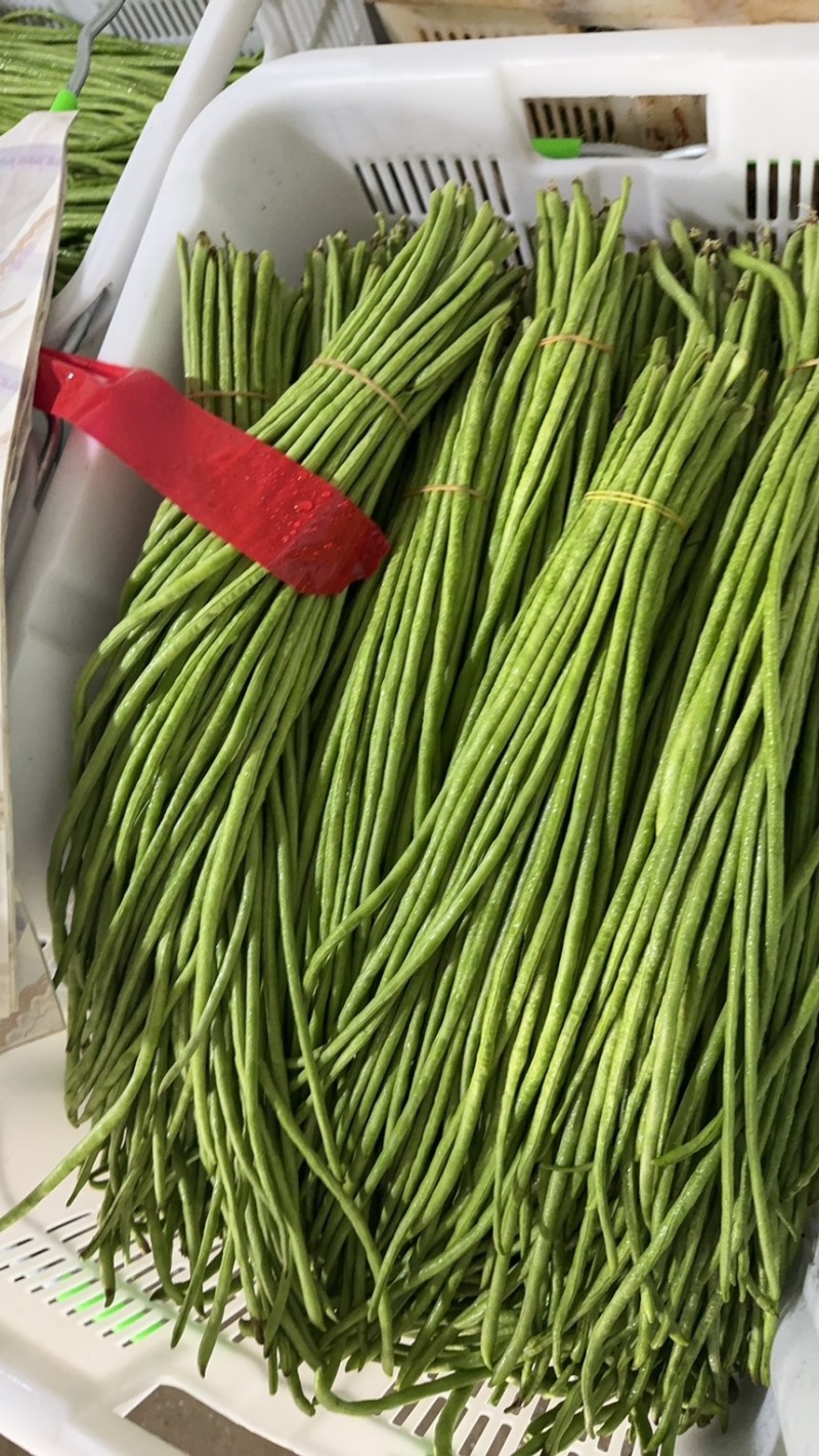 细条豇豆新鲜大量上市原产地直销，没有中间商全球发货