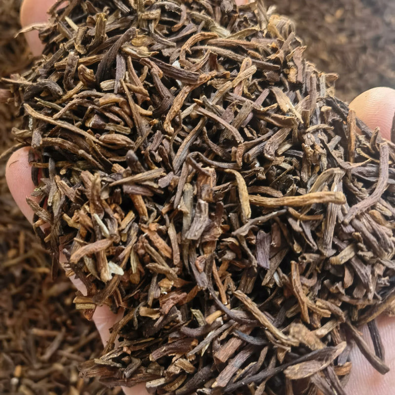 蒲公英根